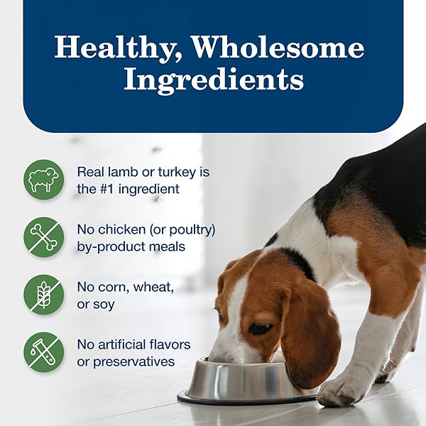 BLUE BUFFALO HOMESTYLE RECIPE ADULT WET DOG FOOD, MADE WITH NATURAL INGREDIENTS, TURKEY AND LAMB DINNER VARIETY PACK, 12.5-OZ CANS (6 COUNT, 3 OF EACH)