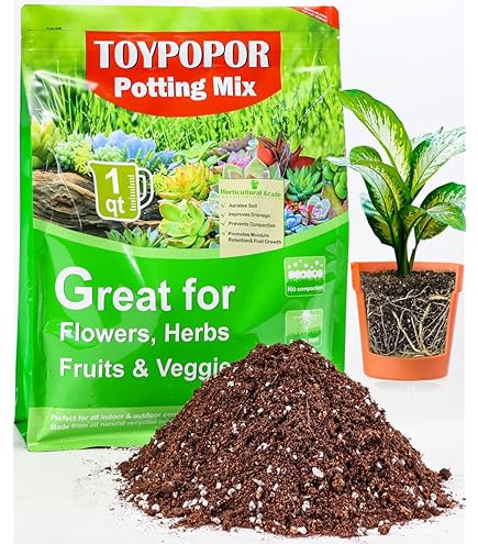 Amazon.com : Elevate Your Calathea with Gardenera's Organic Soil Blend -  Cultivate Healthier and More Captivating Foliage - 1 Quart : Patio, Lawn &  Garden