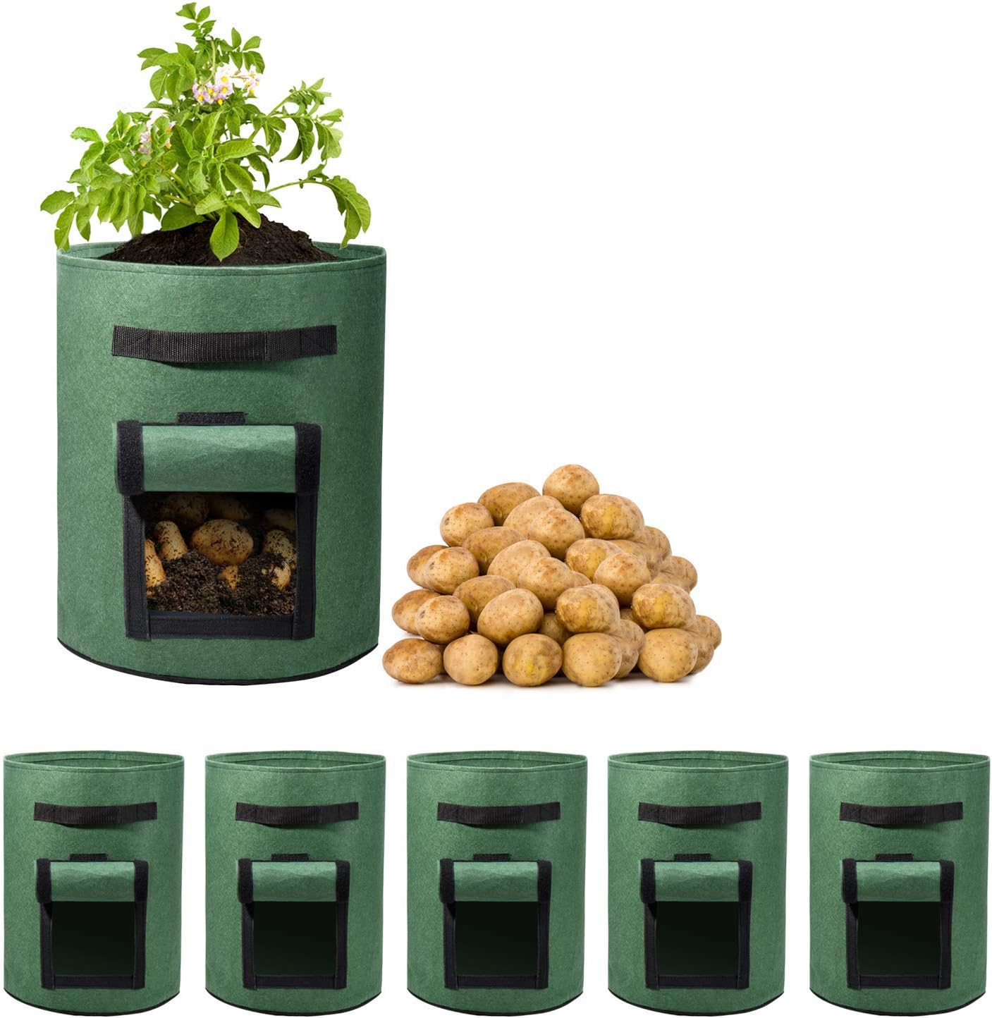 How to Plant Seed Potatoes in Grow Bags: A Complete Guide - Custom Bags Manufacturer & Supplier