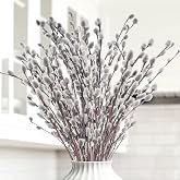 35pcs Dried Pussy Willow Branches with White Flowers for Vase &amp; Home Decor | Dried Pussy Willow Branches with White Flowers for Vase Arrangements, Weddings, Parties, and Seasonal Home Decorations