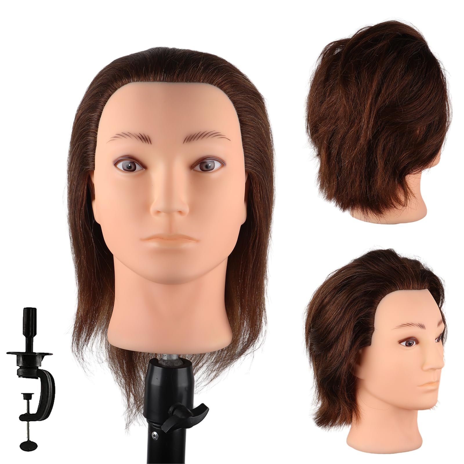 DaizySight Barber Mannequin Head Male with 100% Human Hair, Male Haircut Practicing Head with Thick Hair, Hairdresser Manikin Doll Head for Training Hair Styling (13.8 Inches)
