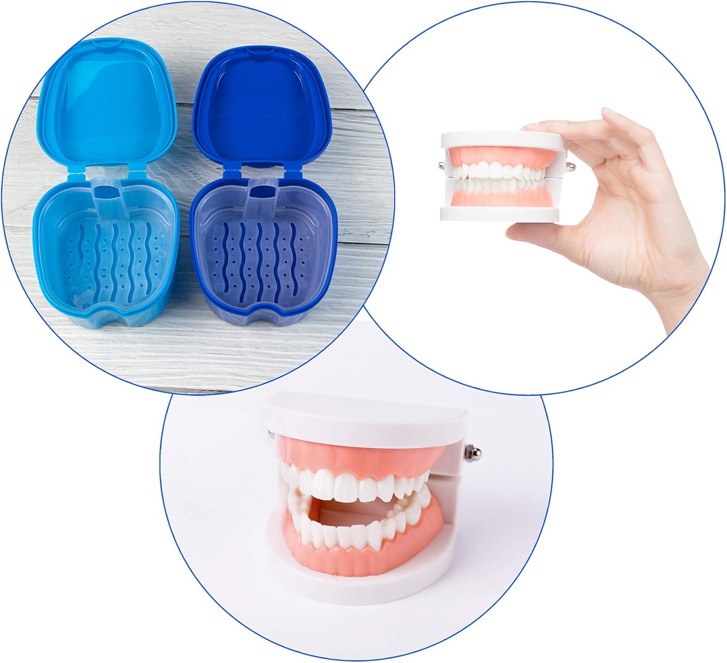 AUEAR, 2 Pack Denture Box with Basket Dark Blue and Light Blue Plastic Denture Box with Net Container for Home Travel: Health & Personal Care