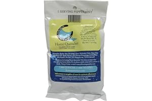 HORSE QUENCHERS Horse Quencher Single Serving Travel Pack - Peppermint