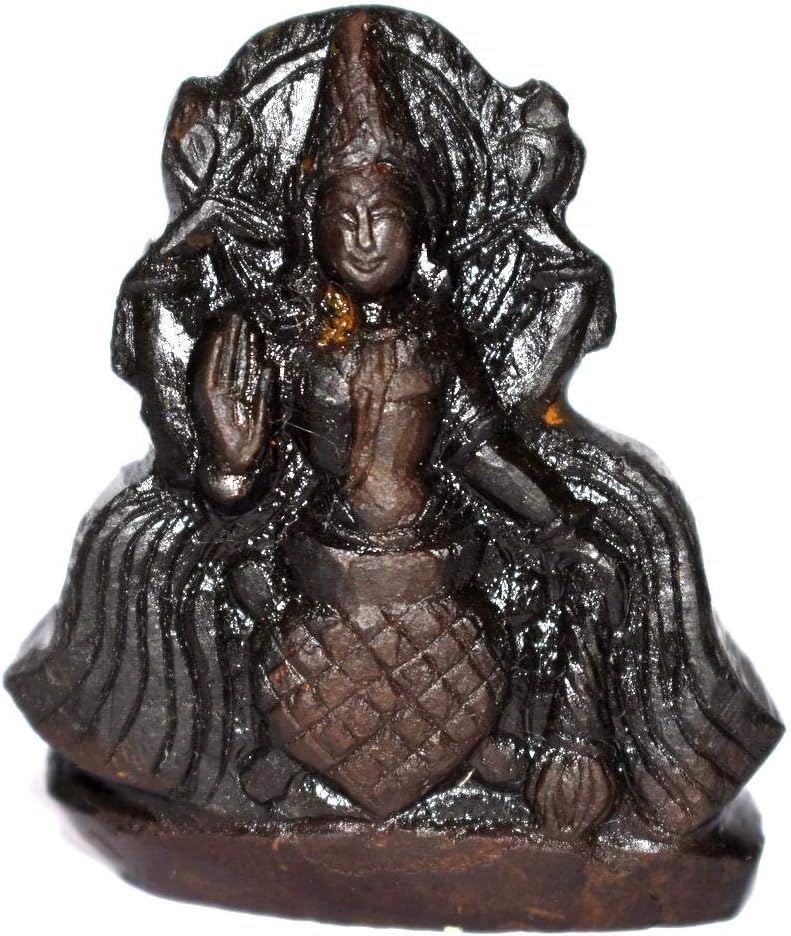 Rudrakshguru Lord Kurma Idol Carved On Natural Sudarshan Shaligram of Gandaki River Nepal
