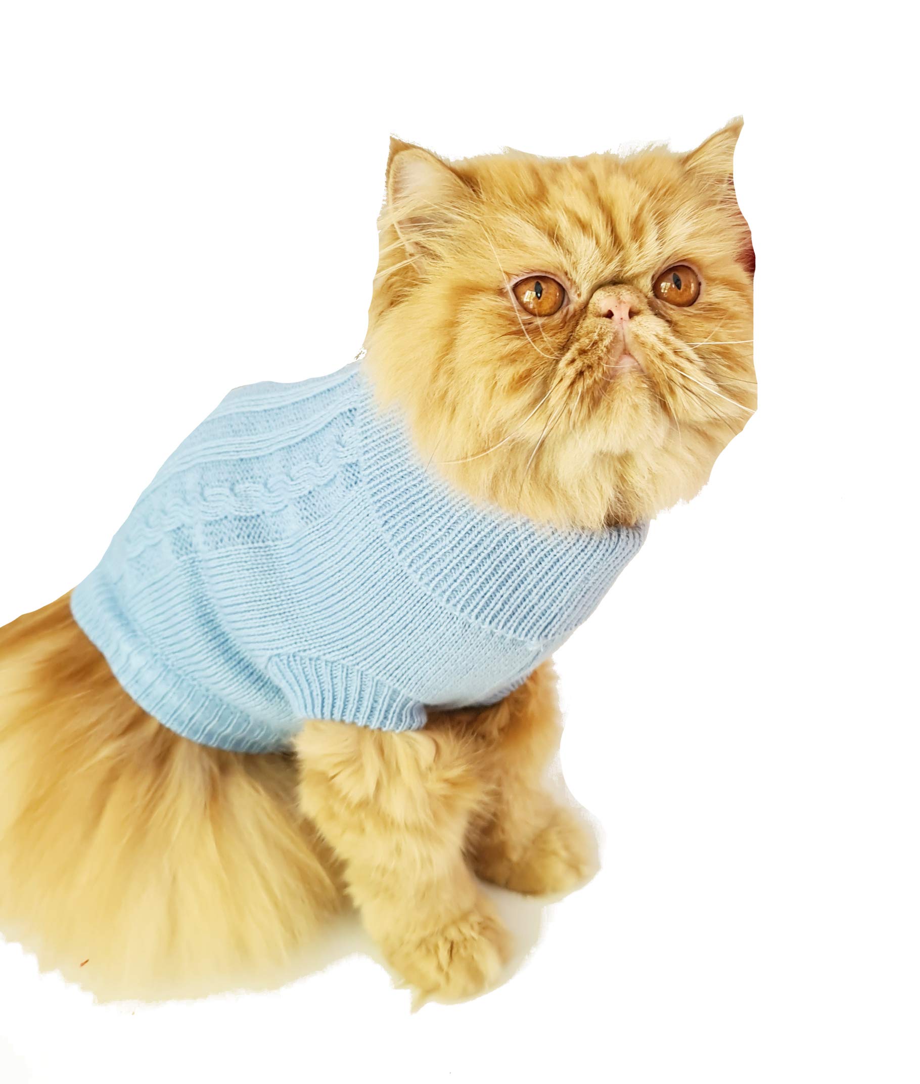 Cute Funny SMALL DOG ONLY Doggy Puppy Kitten Outfit Warm Everyday Walking Winter Girl Boy T-Shirt Jumper Coat Clothes Hoodies Costume Ideas Pullover Knitted Sweater Apparel Blue Cable Knit (L)