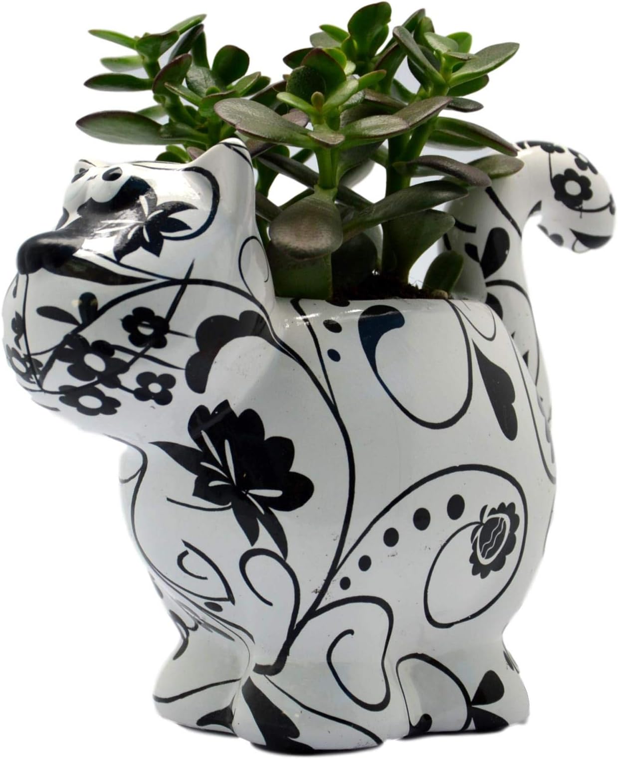 Pomme pidou BEAUTIFUL CERAMIC DOROTHY BLOOMER CAT PLANTER/PLANT POT WITH FREE COLOUR GIFT BOX (BLACK & WHITE)