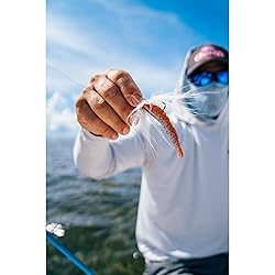 Berkley Gulp! Shrimp, 3in, 3" (6 Count) , Root Beer