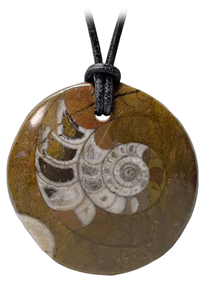 Kaltner Präsente Geschenkidee - Lederkette für Damen und Herren mit Lochstein Goniatit Anhänger als echte Versteinerung