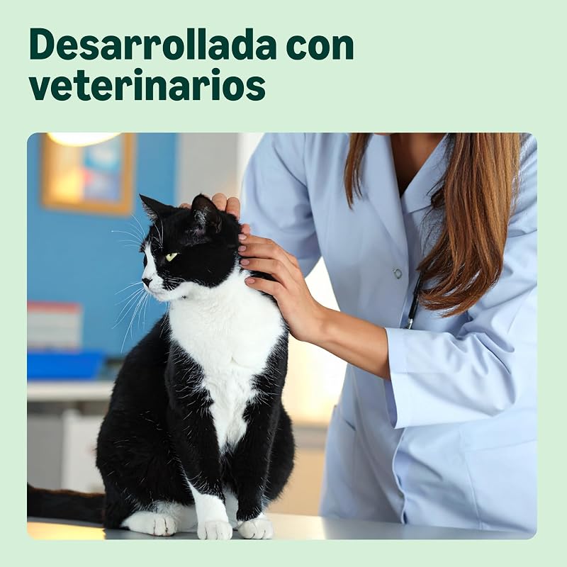 Comida Completa para Gatos con Receta sin Granos, Senior, con Pollo Fresco, 3 kg