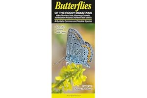 Butterflies of the Rocky Mountains including ID, MT, UT, WY, CO, ne. AZ & n. NM: A Guide to Common & Notable Species