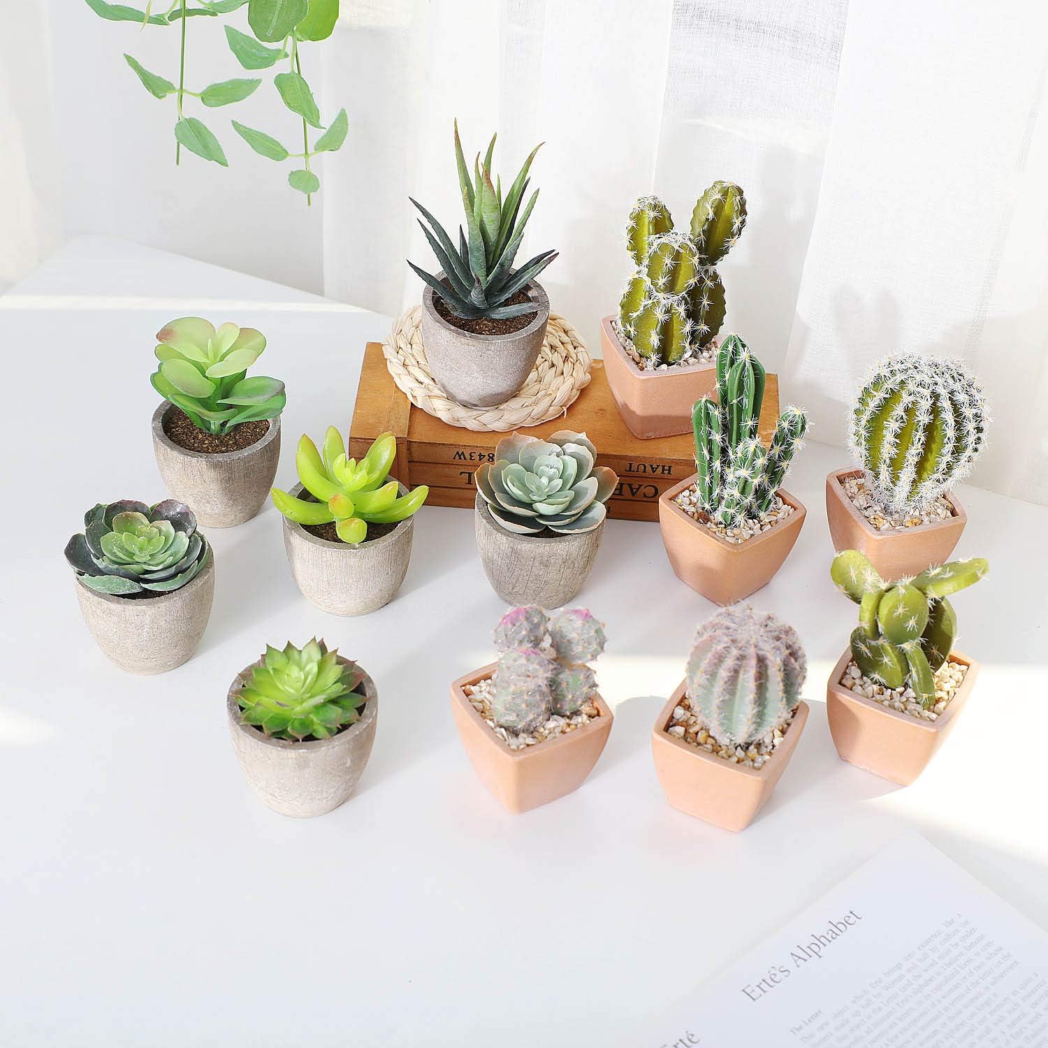 T4U Assorted Artificial Succulent Potted Plants Decorative Plastic Faux Cactus with Pots, Pack of 6 -