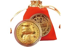 ROSULASI Chinese New Year Decorations 2025 Gold Coins,Lunar Year of The Snake Lucky Coin Traditional Fortune Golden Coins Good Wish Blessing Collectible Fengshui Coins Spring Festival Party Gifts(Gold Coin A)