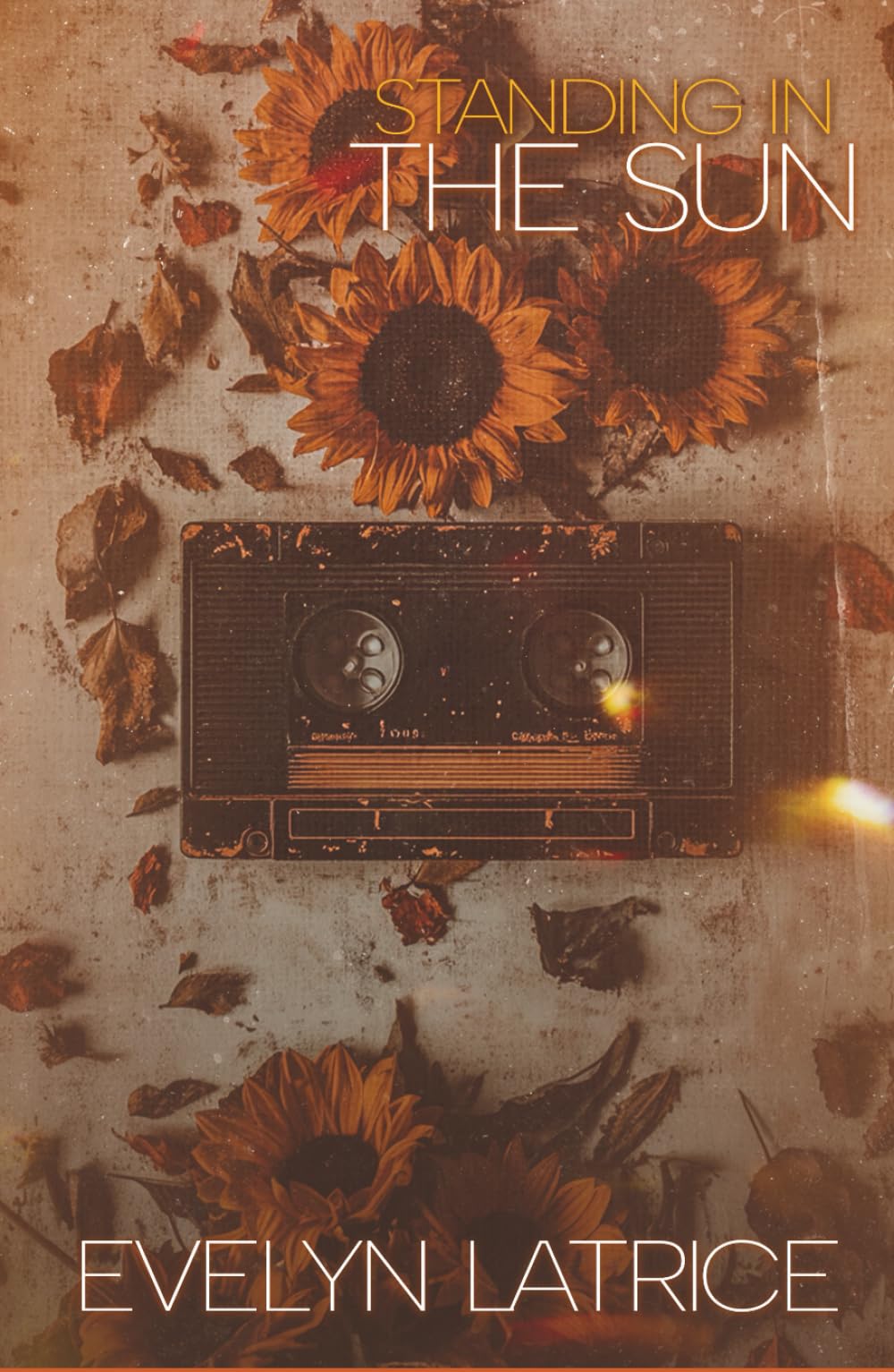 Standing In The Sun - Special Edition 1 Image