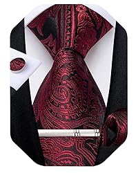 DiBanGu Silk Paisley Ties for Men Woven Necktie and
