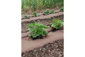 Gardener's Supply Company Weedguard Plus Paper Mulch | Biodegradable Garden Bed Grass, Weed Blocker & Landscaping Fabric | Promotes Soil Moisture Retention & Boosts Plant Production - 3X50 ft