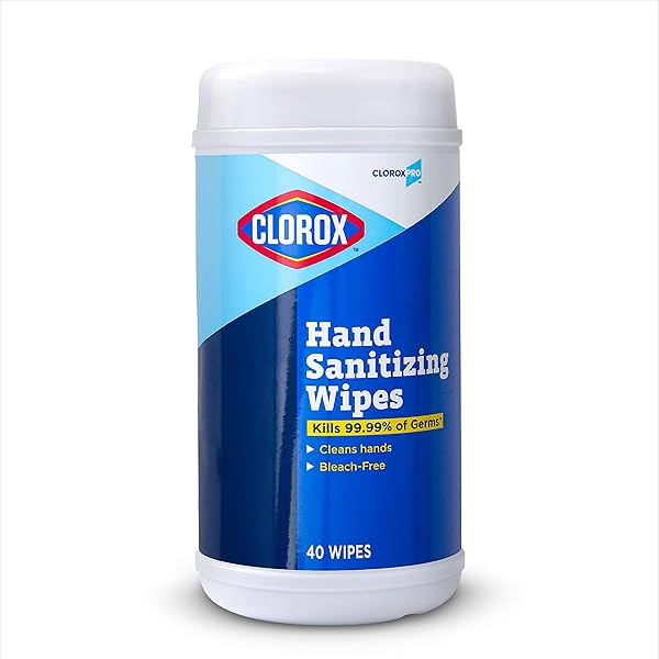 CLOROX PRO HAND WIPES IN RESEALABLE CANISTER, 40 CT | CLOROX ALCOHOL FREE WIPES WITH BZK | CLOROX HAND WIPES, TRAVEL HAND WIPES, ALCOHOL FREE HAND WIPES, WIPES FOR HANDS