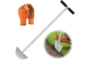 BVHAB Manual Edger Lawn Tool: Half Moon Edger with Saw-Tooth Upgrade – 38'' Stainless Steel Edging Tool for Garden, Yard & Sidewalks – Ergonomic T-Grip for Clean Edging on Flower Beds