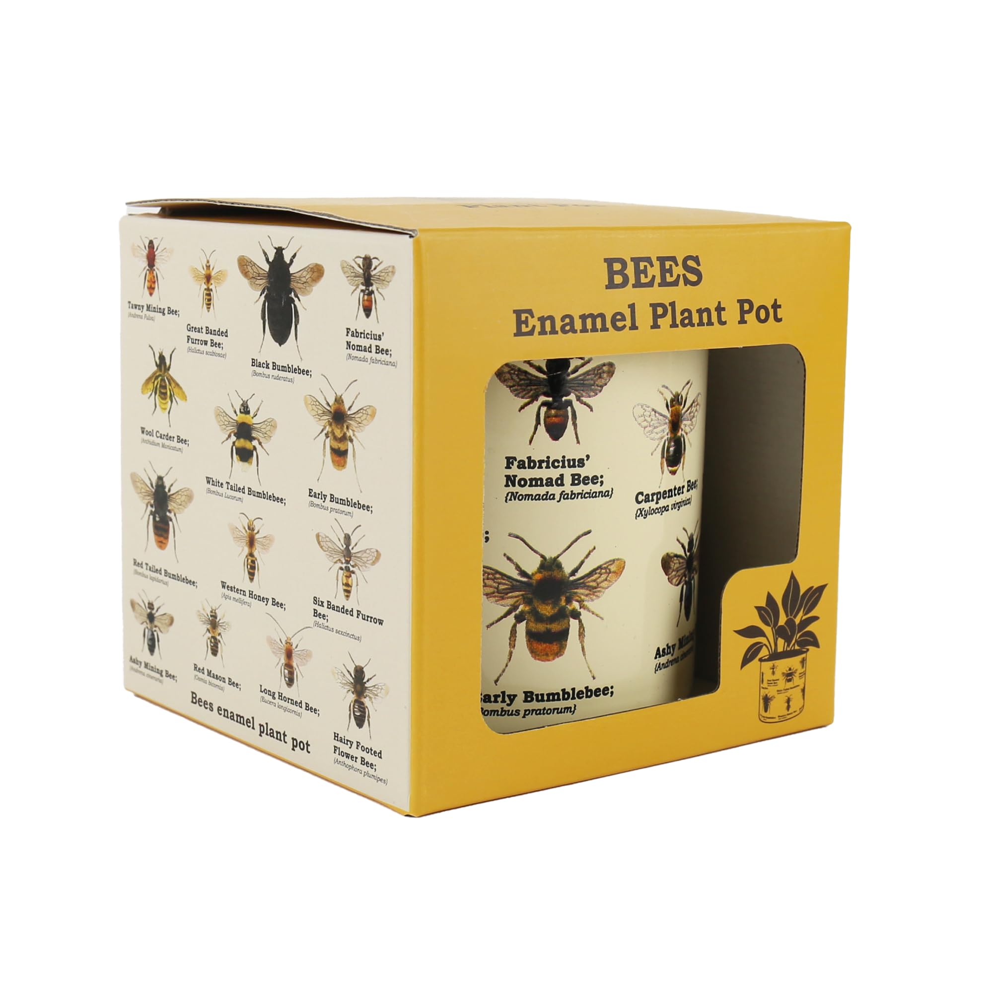 Gift Republic Bee Enamel Plant Pot Cream Metal Planter with Yellow Rim Garden & Indoor Plant Decor Gift Boxed Perfect for Plant Lovers & Gardeners