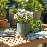 T4U Mini Self Watering Plant Pots Indoor 6 Pack 10cm Green Plastic Pots view 7