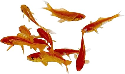 Amazon Com Toledo Goldfish Live Comet Goldfish For Ponds