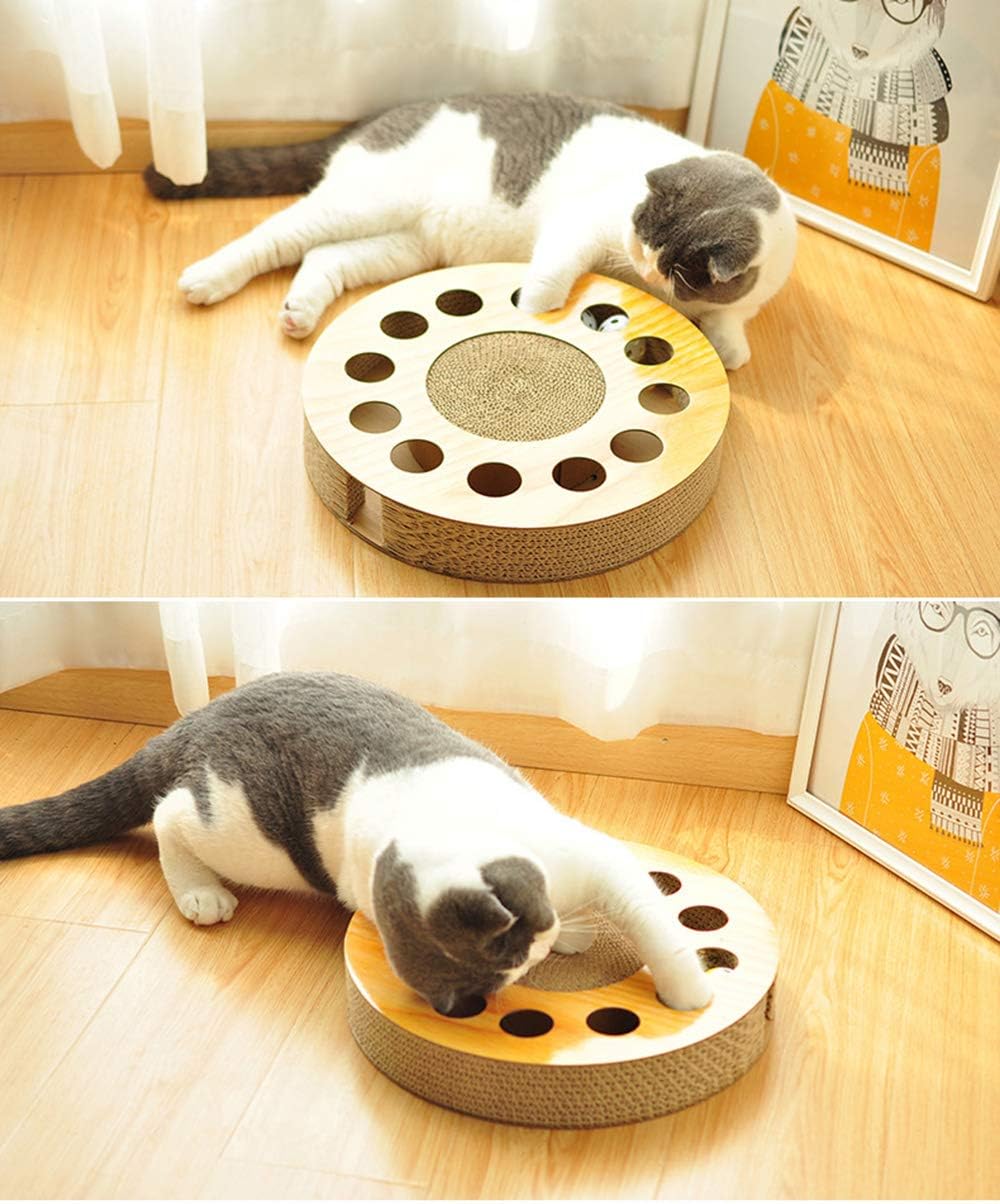 Cat Toy with Sturdy Scratching Pads and 2 Jingly Balls for All Ages of Cats : Kitchen & Dining