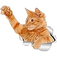 Winston & Bear Playing Orange Cat Wall Decals - 2 Pack - Ginger Cat Toilet Sticker – 3D Cat Car Window and Bumper Sticker - Retail Packaged Ginger Cat Lover Gifts