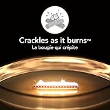 WoodWick Ellipse Scented Candle Fireside Crackling Wick 50 Hr Burn view 4