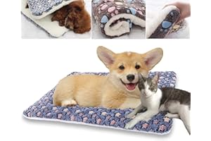 FETNHU Cozy Calming Cat Blanket, Ultra-Soft Fleece Pet Blanket, Reduces Anxiety, Ideal for Cats, Raised Rim for Support, Machine Washable