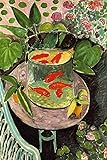 Henri Matisse Goldfish Matisse Wall Art Abstract