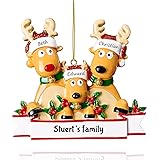 witfox Personalized Family Christmas Ornaments 2023