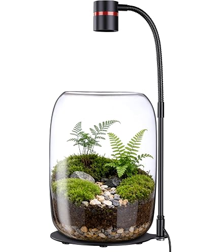 Amazon.com: Xyingshine Glass Plant Terrarium with LED Grow Light