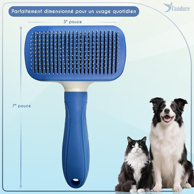 Brosse de toilettage professionnelle pour chien et chat, brosse pour animaux de compagnie, pour poils longs et courts, picots en acier inoxydable, élimine les poils morts (Bleu Ciel)