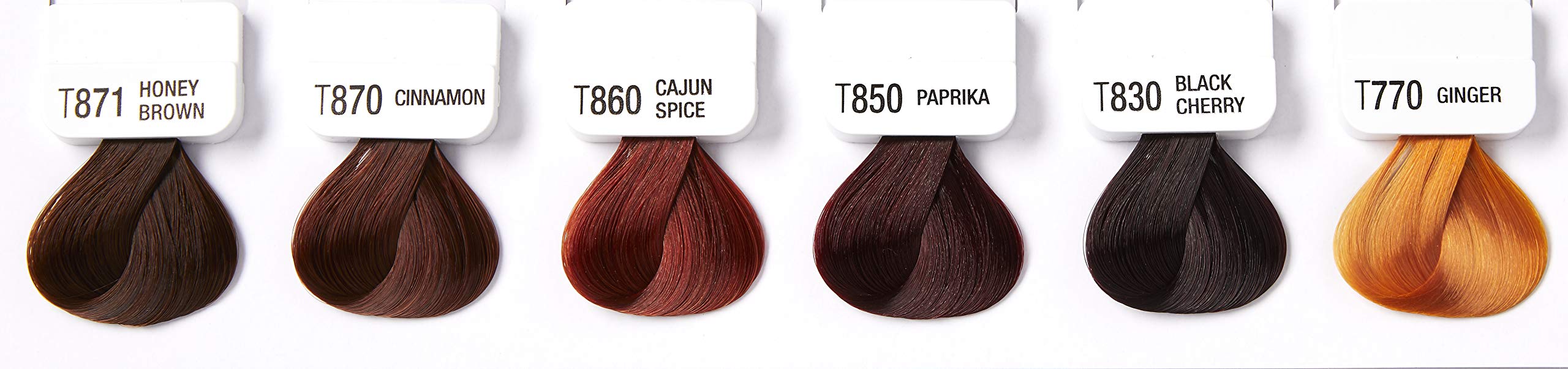 Kiss Tintation SemiPermanent Hair Color 5 Ounce, T850 Paprika Buy