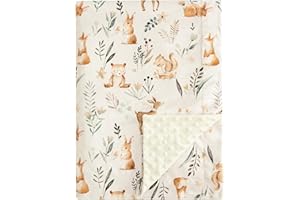 PHF Minky Baby Blanket, 30x40 Inches Soft Toddler Blanket with Double Layer Dotted Backing for Boys, Reversible Crib Receivin