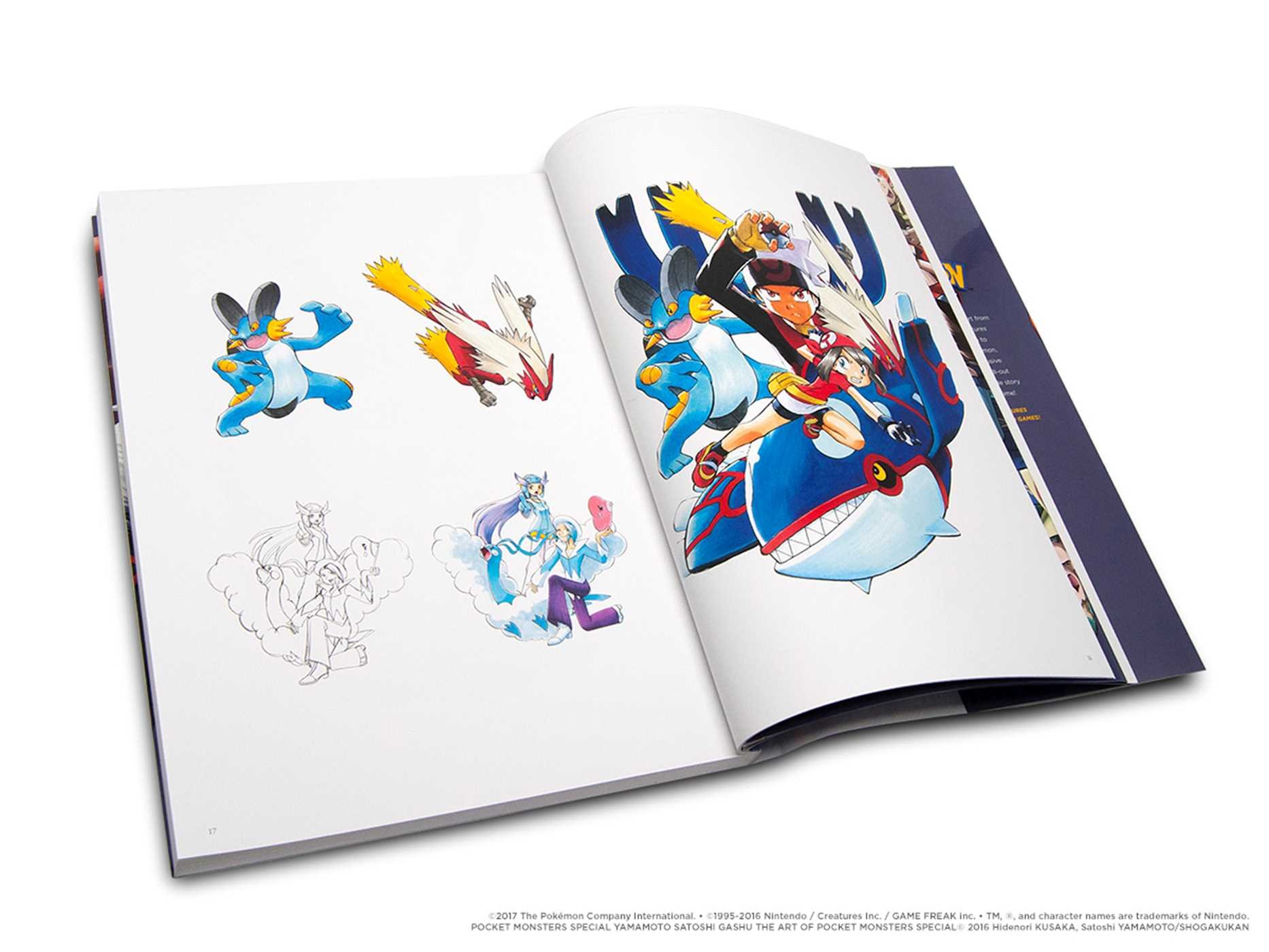 Pokemon Adventures th Anniversary Illustration Book The Art Of Pokemon Adventures 1 Pokemon Yamamoto Satoshi Amazon Com Books