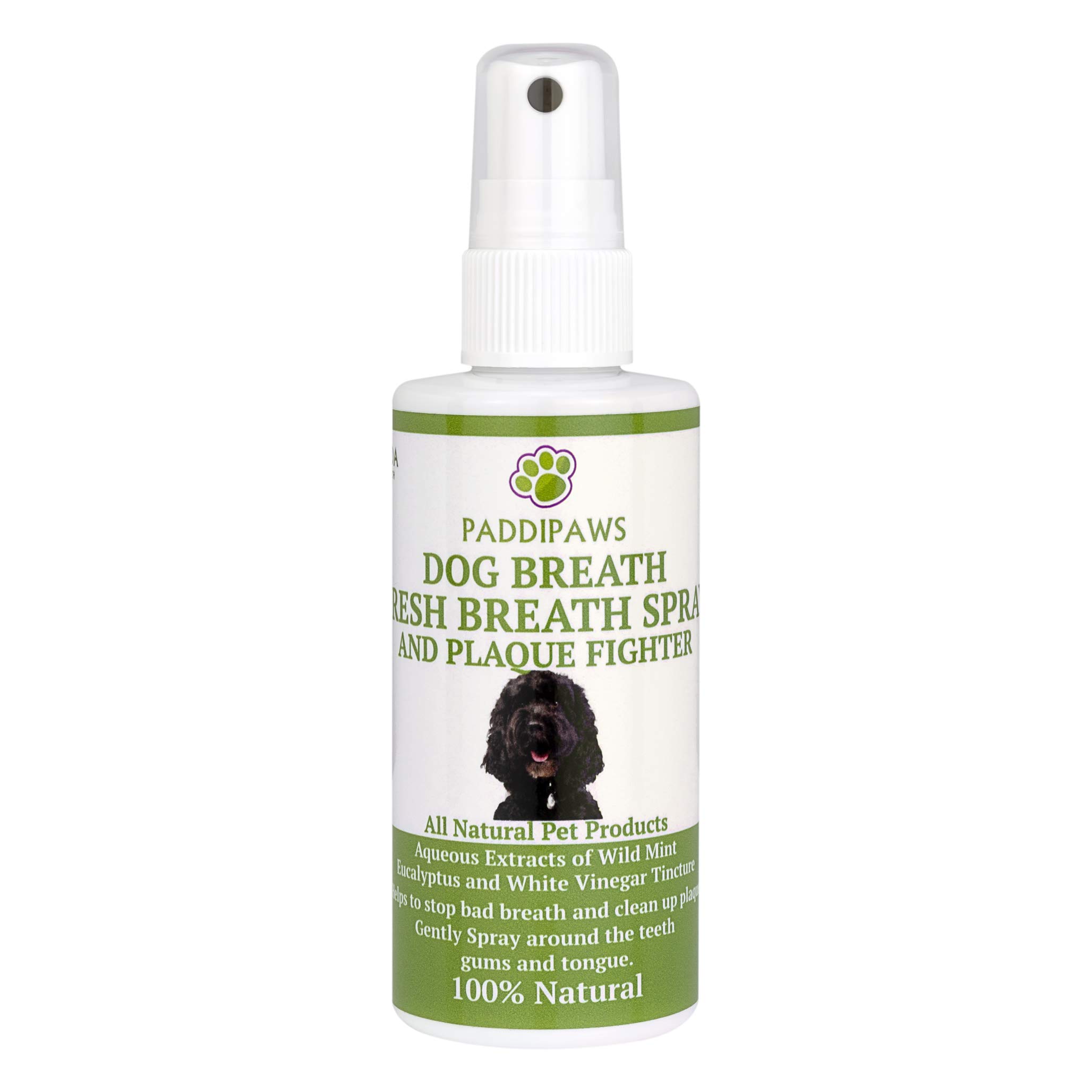 Paddipaws Dog Breath Spray – 100% Natural Dog Breath Freshener – Reduces Plaque & Tartar – Attacks Harmful Bacteria – Mint Oral Care Spray for Dogs