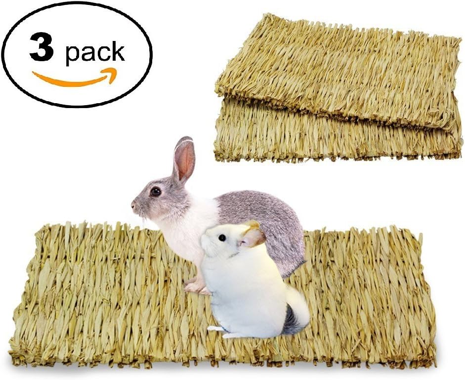 bunny chewing on cage