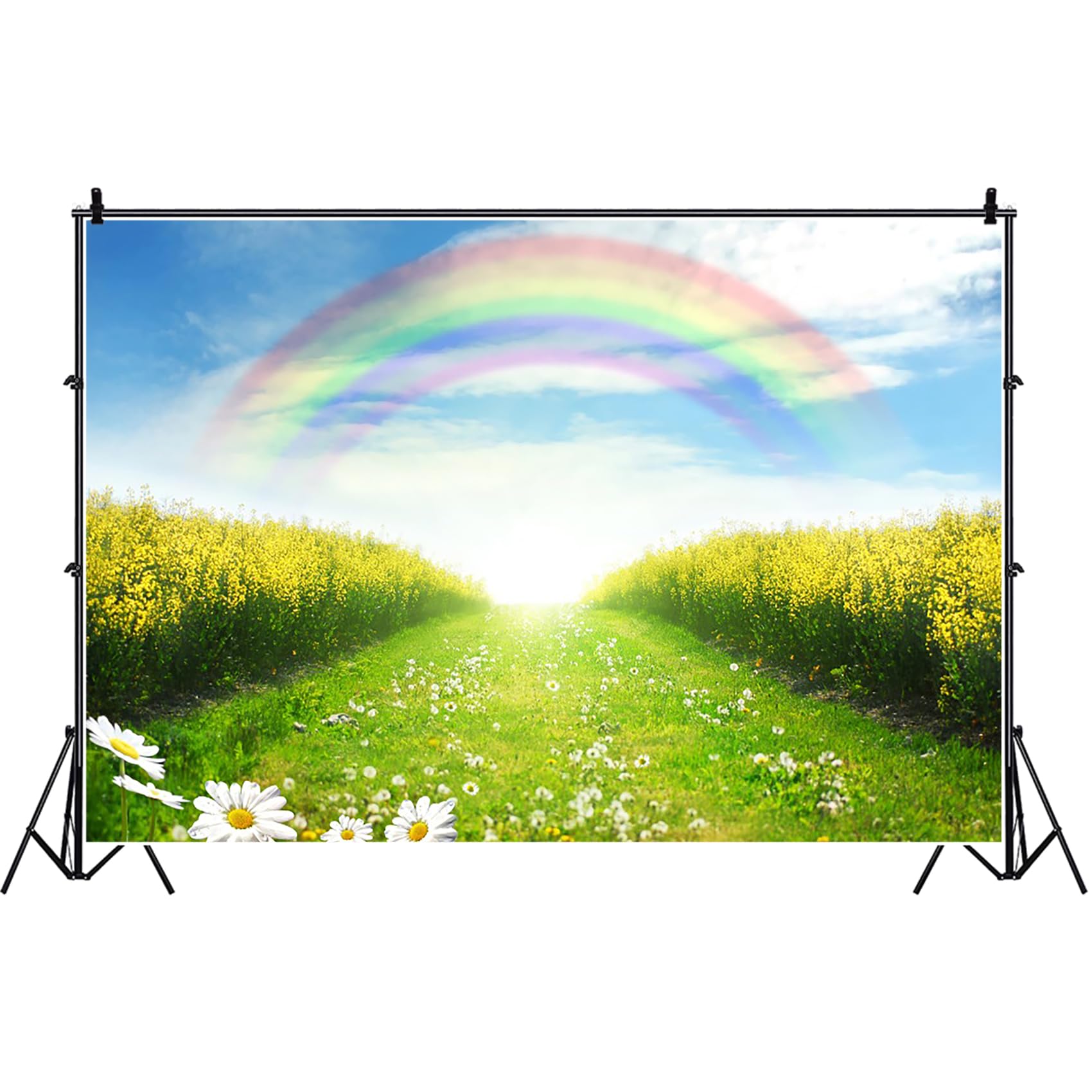 Bovlleetd 8x6ft Rainbow Nature Background Spring Greenery Rustic Fields Pathway Landscape Daisy Floral Photography Backdrop Newborn Baby Adults Portrait Photo Studio Props Vinyl