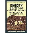 Domestic Revolutions: A Social History Of American Family Life
