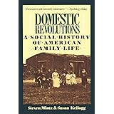 Domestic Revolutions: A Social History Of American Family Life
