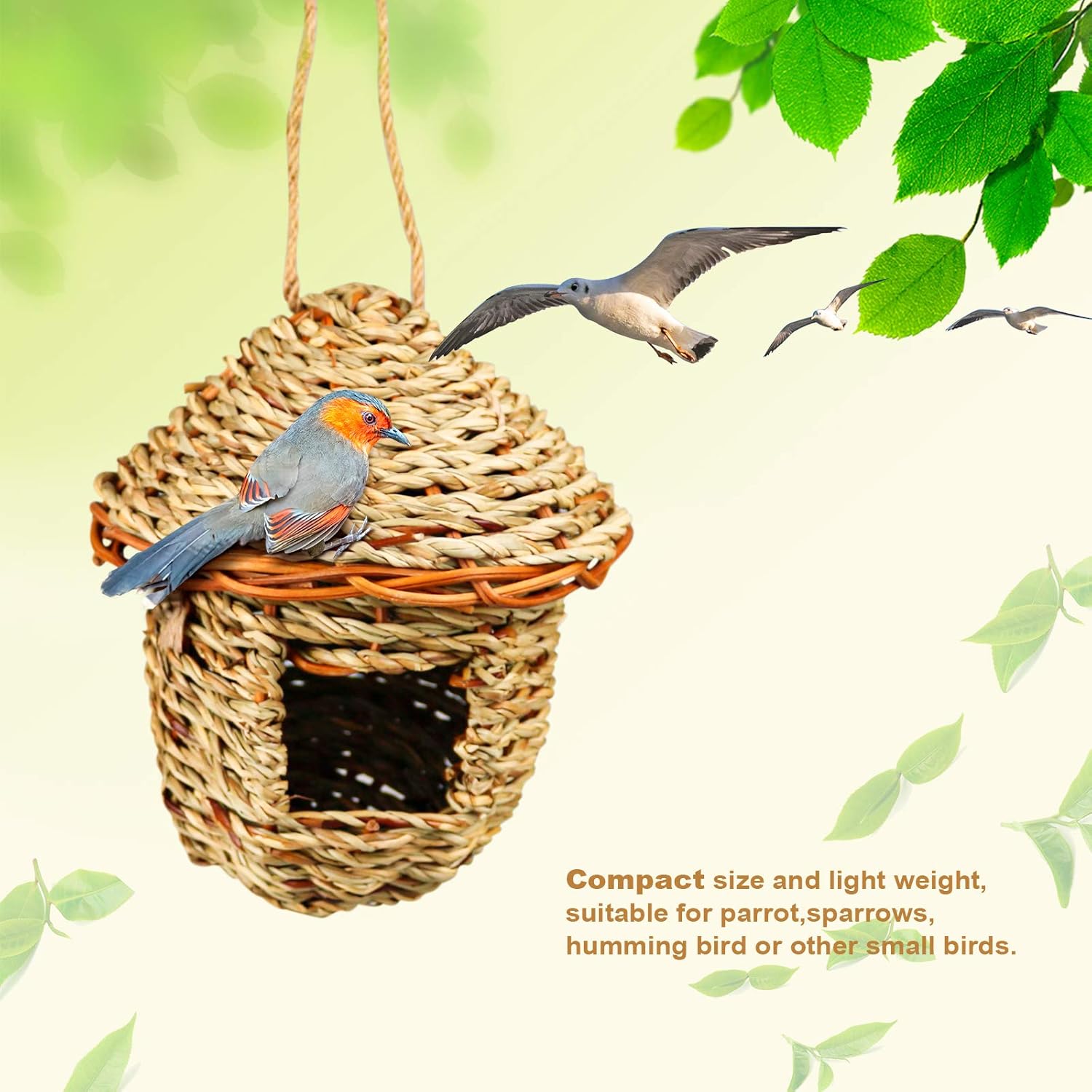 Hummingbird Bird Nest, Handwoven Straw Grass Hanging Bird Hut Grass Woven Parakeet Breeding Cave Cozy Resting Place Sparrow House for Cockatiel Parrots Parakeet Conures Finch (H01) : Kitchen & Dining