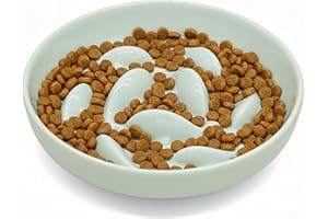 Cilkus Anti-Bloat Ceramic Slow Feeder Bowl - Fish Pool Design Interactive Puzzle Feeder for Cats & Small Dogs, Food-Safe Porcelain Healthy Eating Dish (Green-Ceramic)