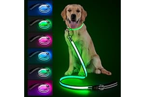 VISINITE 4 Ft LED Dog Leash, Light Up & Lighted Dog Leash, 7 Lighting Modes, Glow in The Dark, Reflective, Double-Sided Light, Rechargeable with Padded Handle for Night Walking Safety, Small to Large Pets