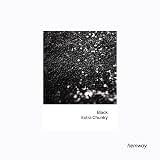 Hemwave Black Glitter Shaker 130g Extra Chunky Glitter Resin Epoxy view 2