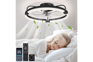 OUTON 20" Ceiling Fan with Light, Remote & App Control, Fandelier Low Profile Flush Mount Ceiling Fan with 3000K-6500K Stepless Dimmable, 6 Speed, Quiet DC Motor, Small Modern Ceiling Fans for Bedroom