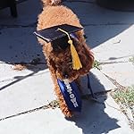 Review Image by Anabel T.