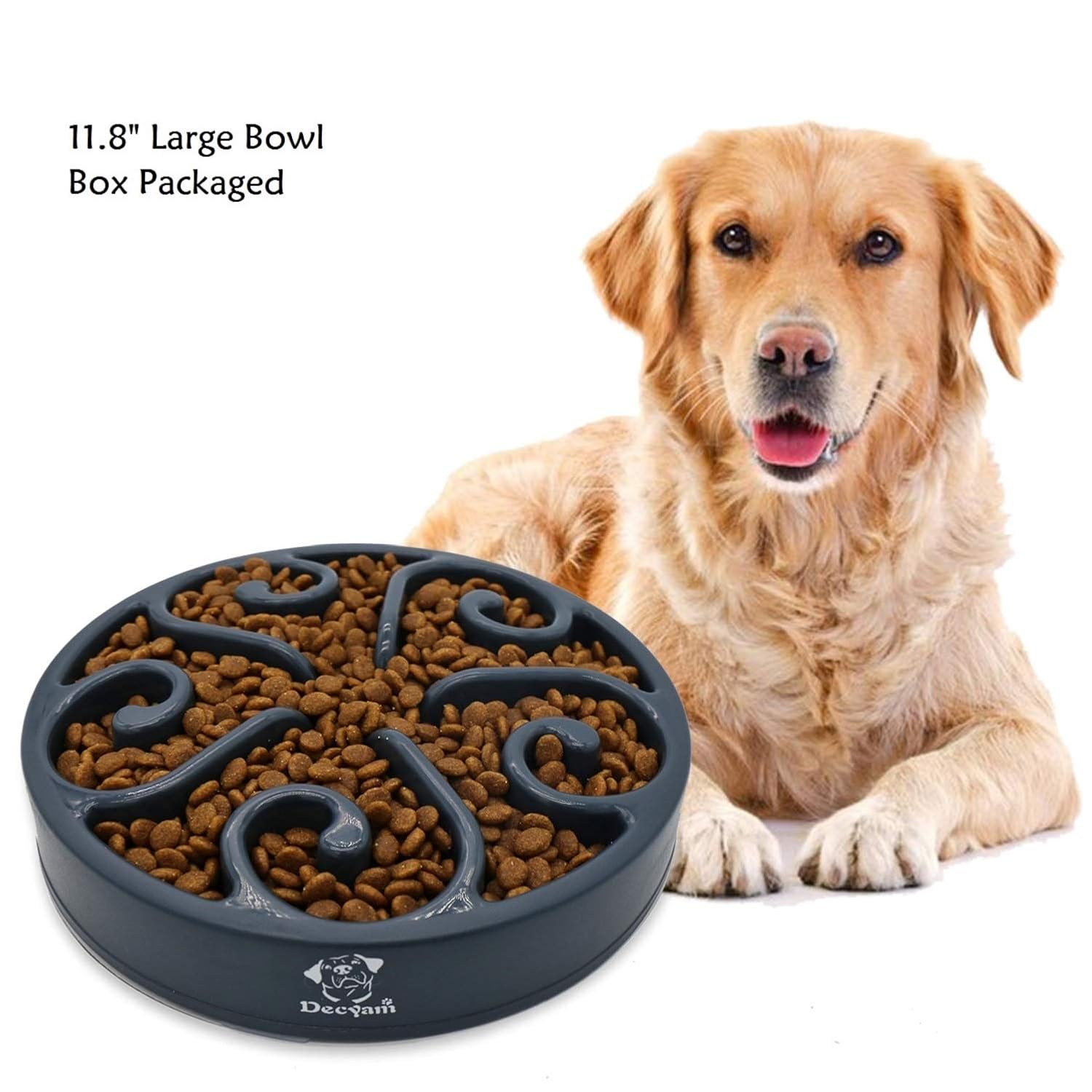 Decyam Pet Fun Feeder Dog Bowl Slow Feeder Slow Eating Dog Bowl