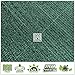 ColourTree 4' x 50' Green Fence Privacy Screen Windscreen, Commercial Grade 170 GSM Heavy Duty We Make Custom Size