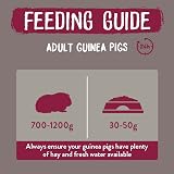 Excel Burgess Indoor Guinea Pig Nuggets 1.5 kg view 5