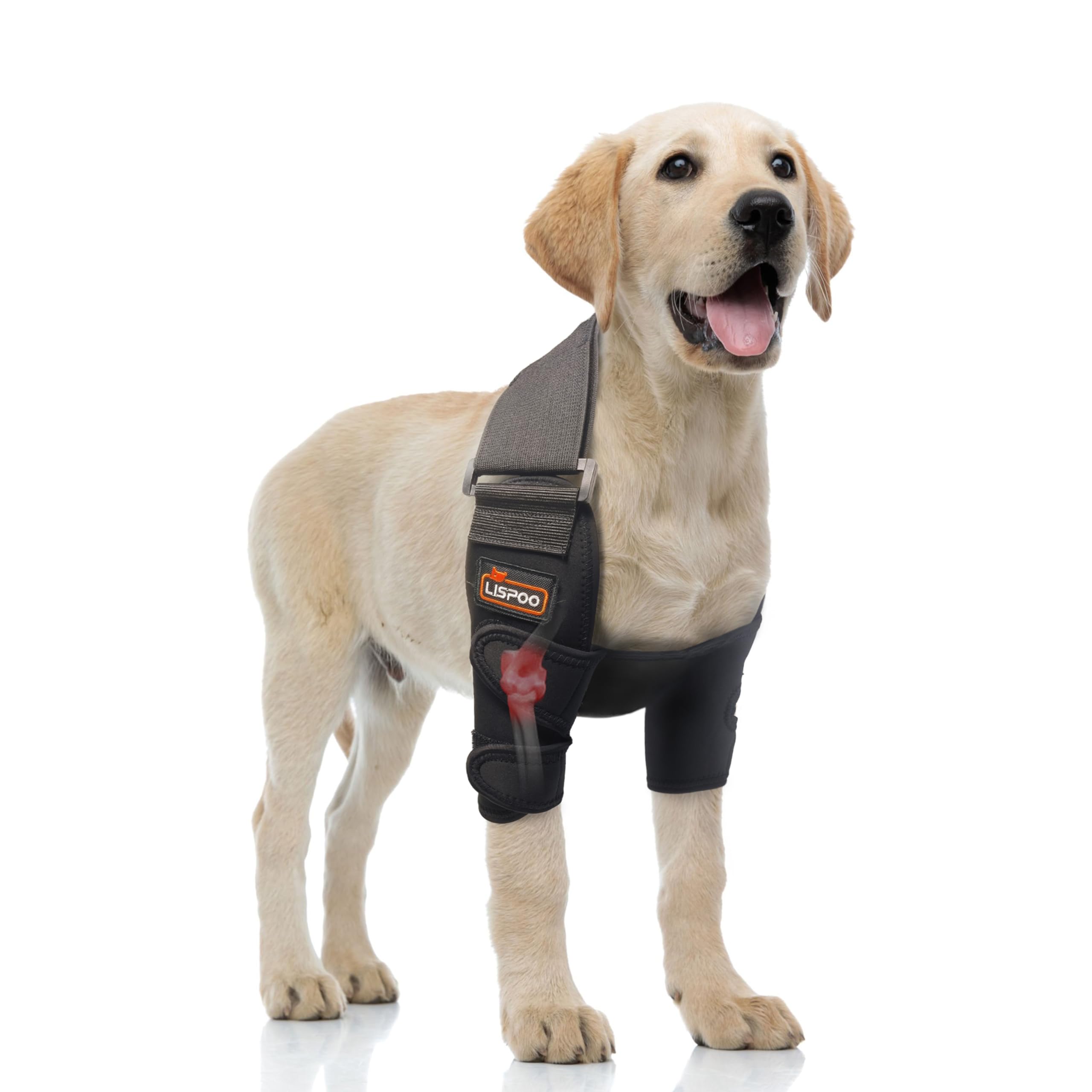 Photo 1 of Hilltown Dog Elbow Brace for Shoulder & Front Leg, Canine Elbow Wrap for Shoulder Dislocation, Pressure Sores, Elbow Injury and Loss of Stability from Arthritis-(Both Legs XS)